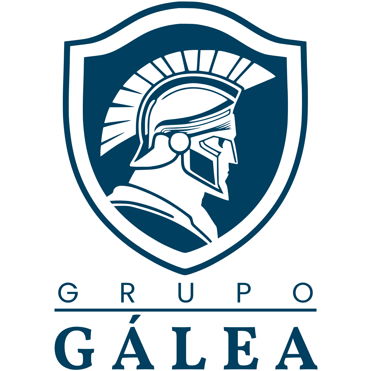 Grupo Gálea — terceirização premium
